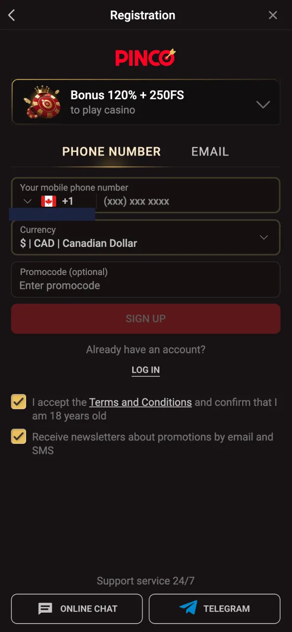 Pinco registration page showing fields to join the gaming platform.