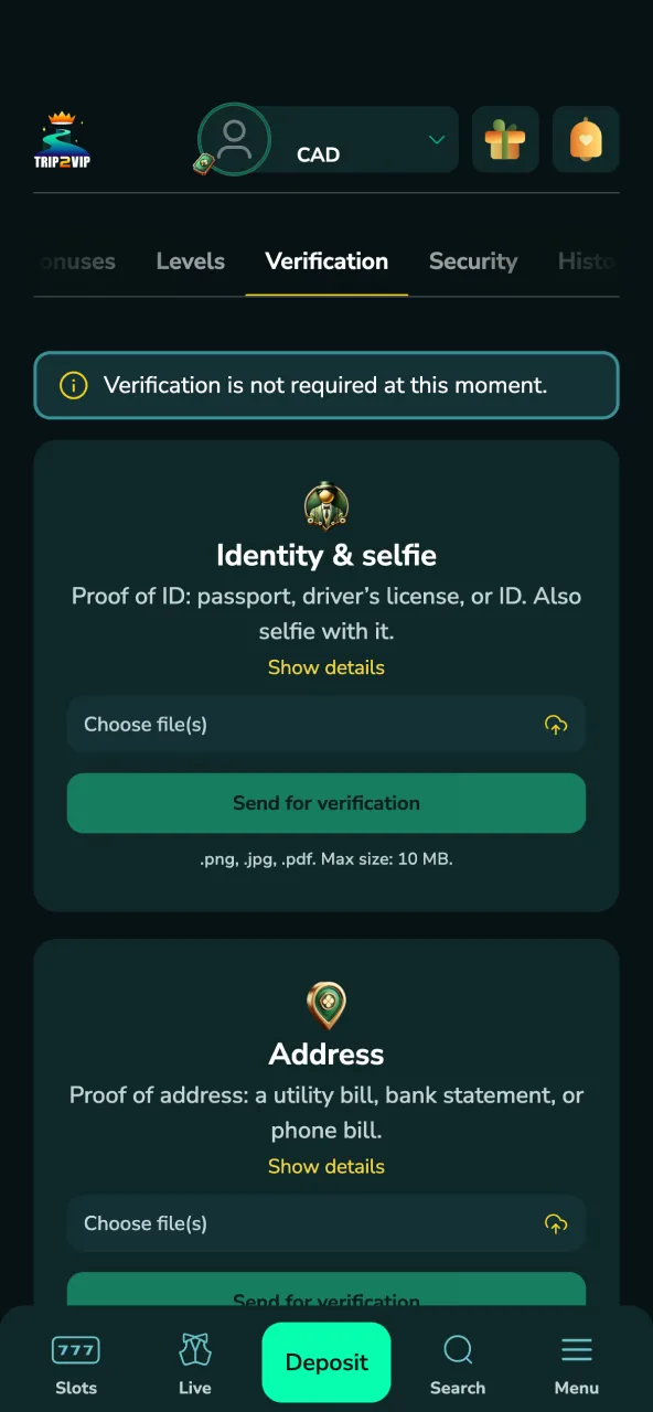 Upload required ID and address documents for Trip2Vip verification.